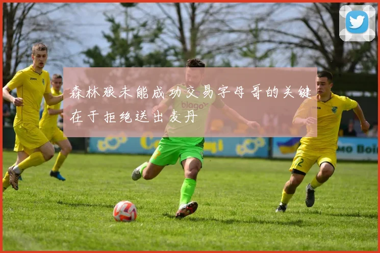 森林狼未能成功交易字母哥的关键在于拒绝送出麦丹